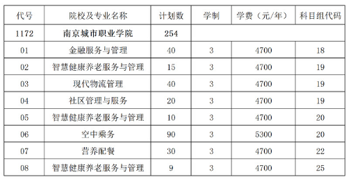 南京城市职业学院