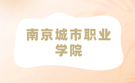 南京城市职业学院2023年五年制招生简章